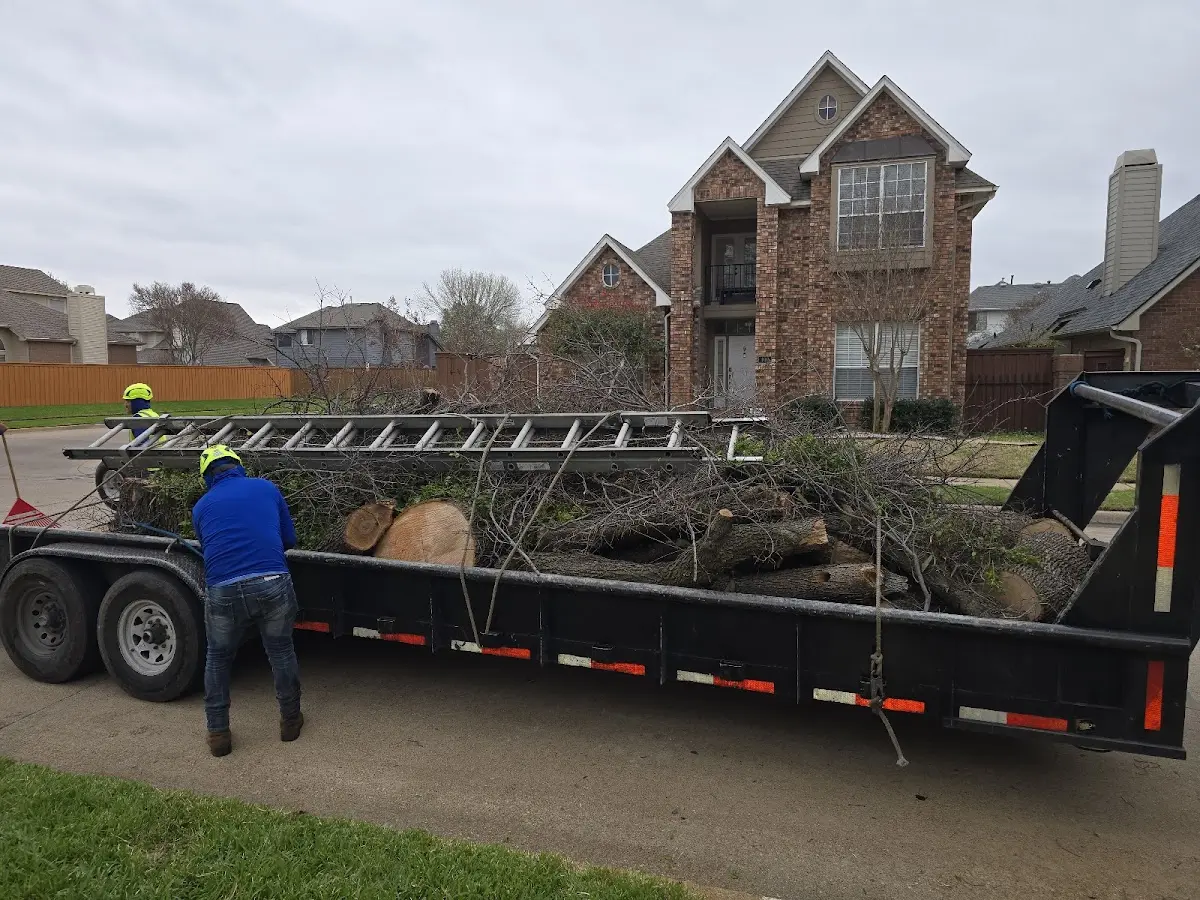 Expert Tree Fertilization with proper safety equipment in Columbia